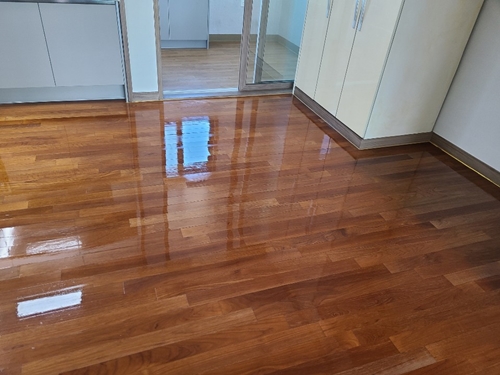 백조의호수크린 PC 이미지 1503505